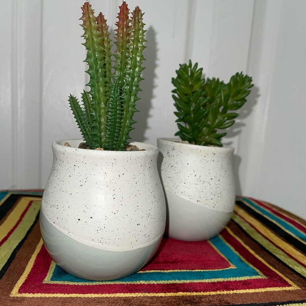 Set of 2 faux succulents in ceramic planters